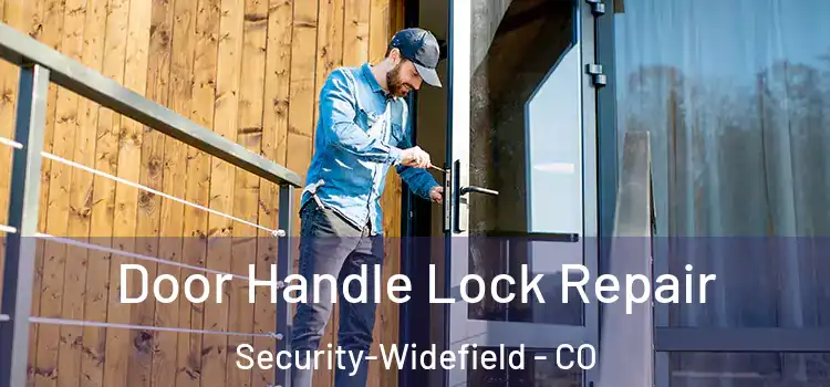 Door Handle Lock Repair Security-Widefield - CO