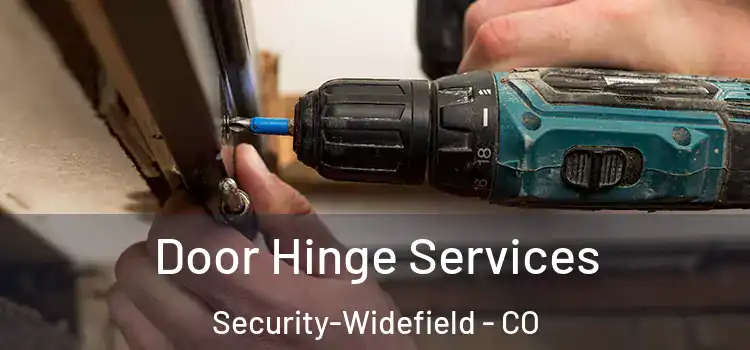  Door Hinge Services Security-Widefield - CO