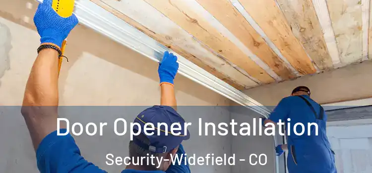  Door Opener Installation Security-Widefield - CO