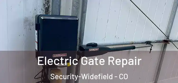  Electric Gate Repair Security-Widefield - CO