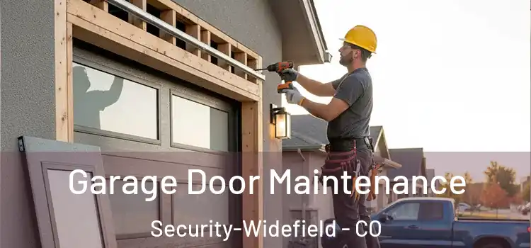  Garage Door Maintenance Security-Widefield - CO