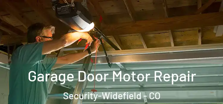  Garage Door Motor Repair Security-Widefield - CO