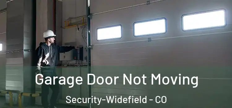 Garage Door Not Moving Security-Widefield - CO