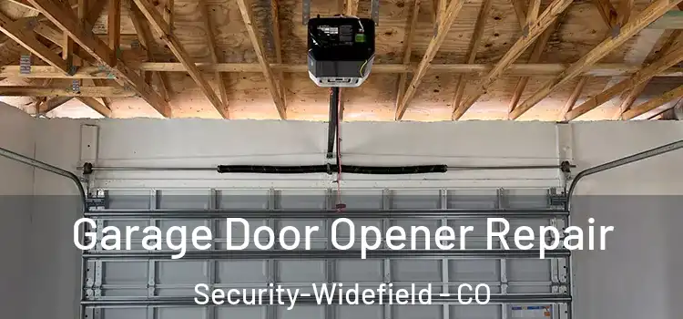  Garage Door Opener Repair Security-Widefield - CO
