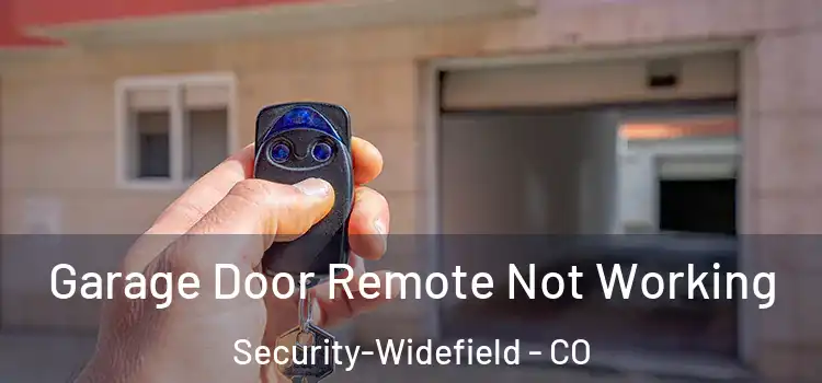  Garage Door Remote Not Working Security-Widefield - CO