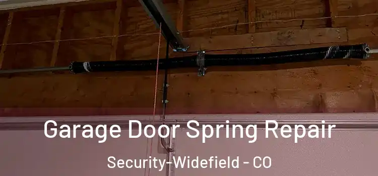  Garage Door Spring Repair Security-Widefield - CO