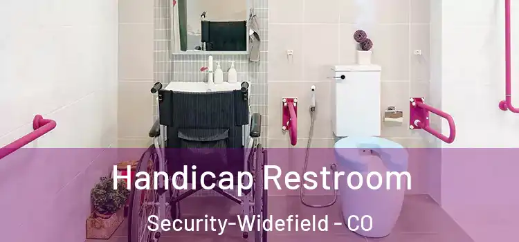  Handicap Restroom Security-Widefield - CO
