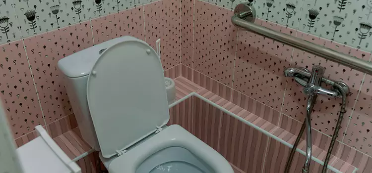 Meeting Diverse Needs With Accessible Restroom Solutions in Security-Widefield, CO
