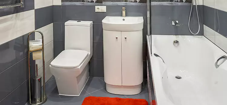 Hansgrohe Shaving Mirror Security-Widefield