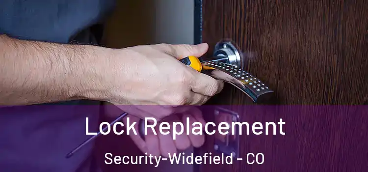 Lock Replacement Security-Widefield - CO