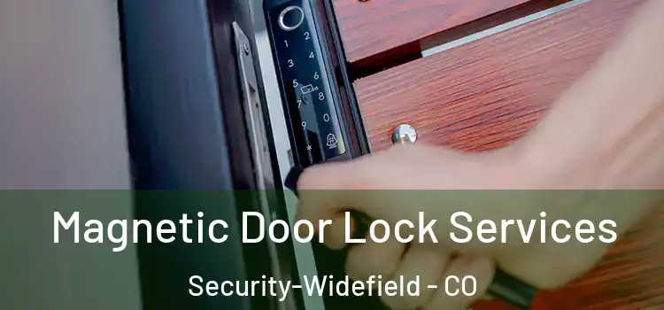  Magnetic Door Lock Services Security-Widefield - CO