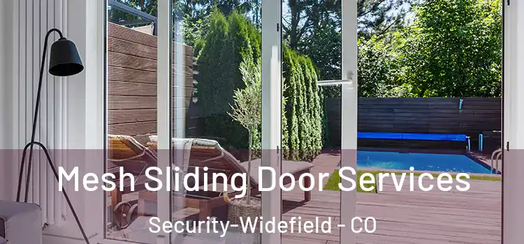  Mesh Sliding Door Services Security-Widefield - CO
