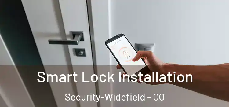  Smart Lock Installation Security-Widefield - CO